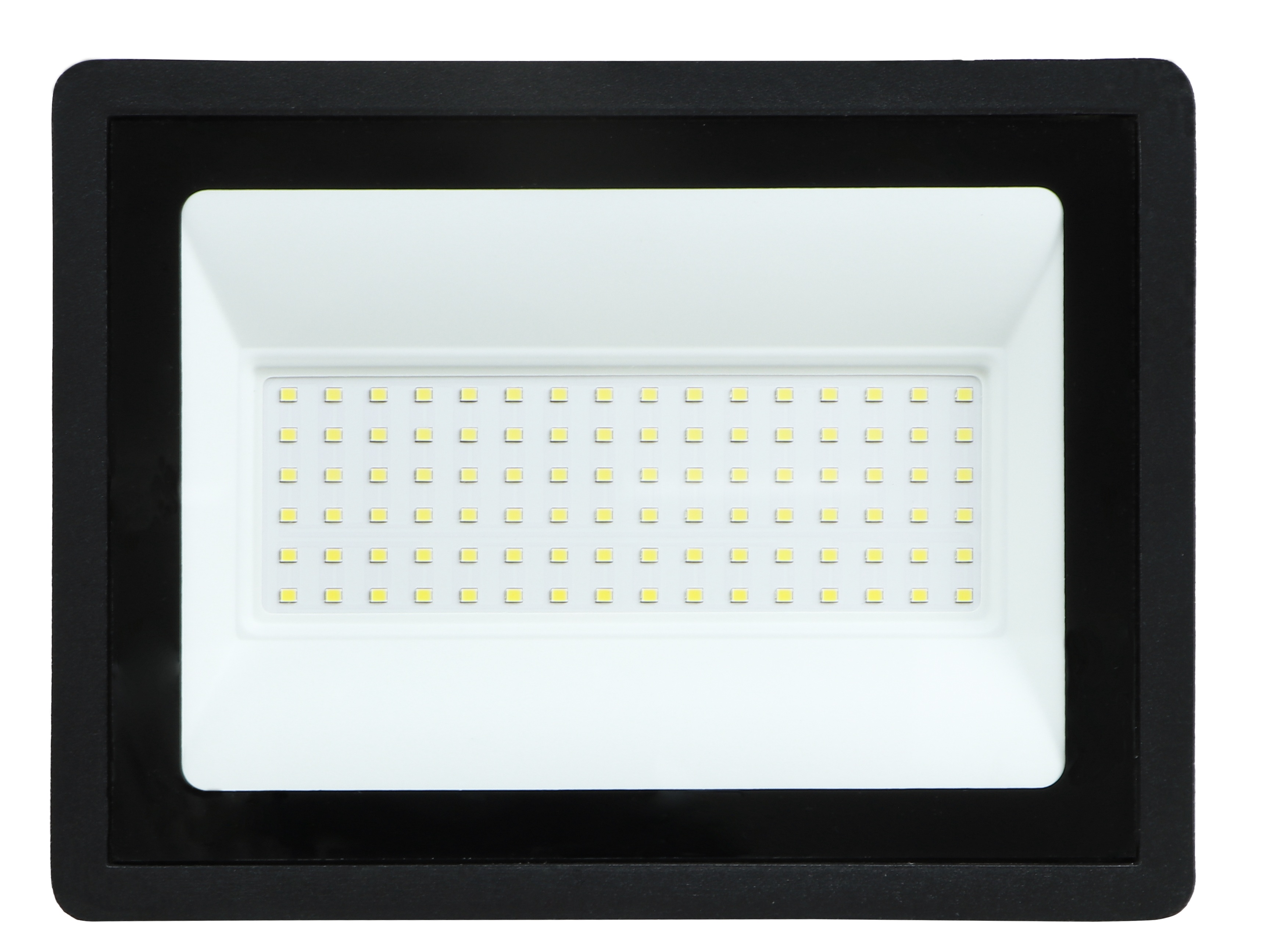 ZY-FL-01 100W