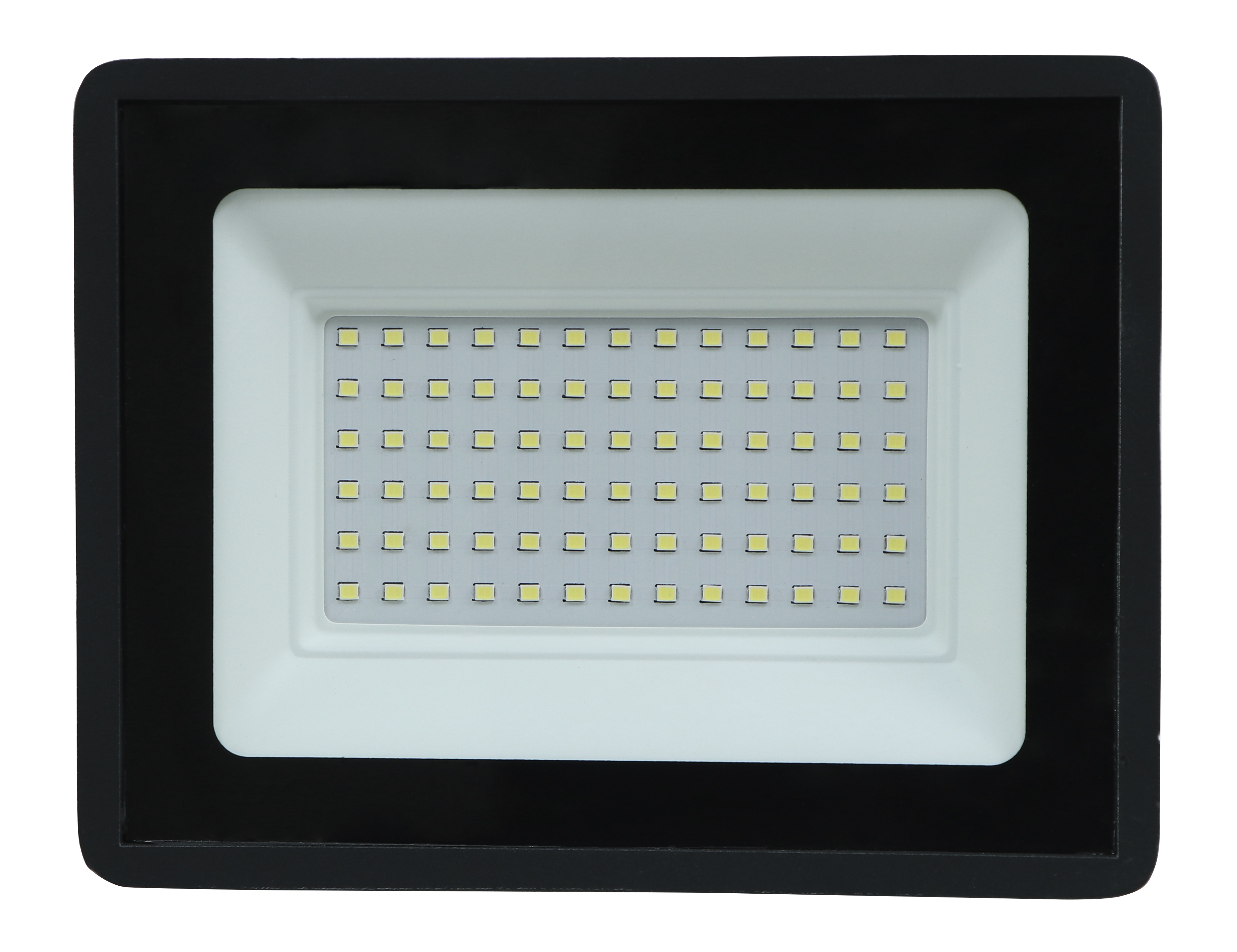 ZY-FL-02 100W