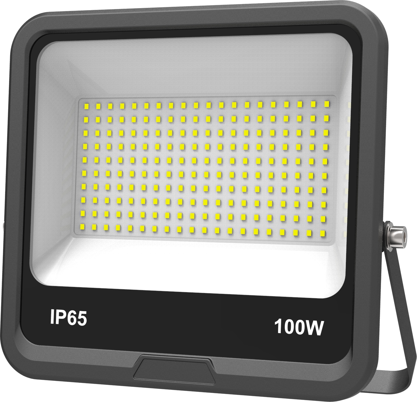 ZY-FL-03 100W
